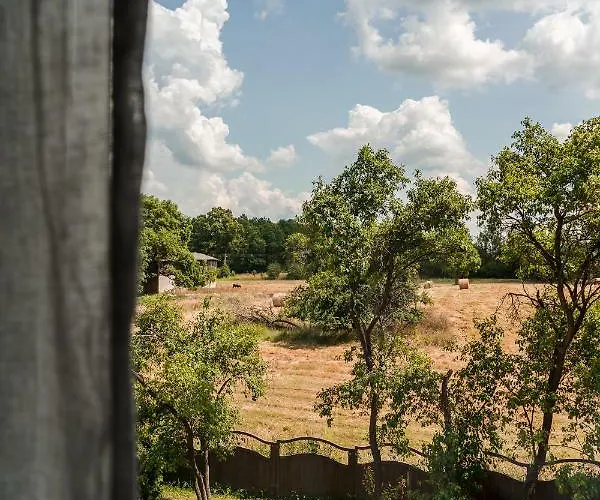 Dwor Biale Wino בית הארחה 4*